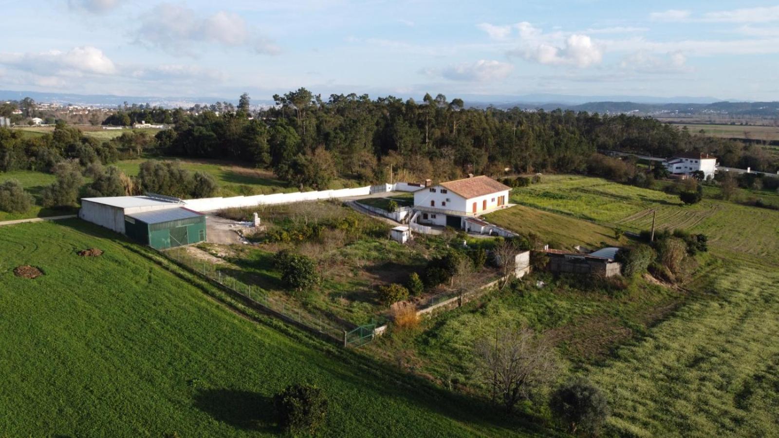 Quinta Da Barrosa Apartamento Tentugal Exterior foto